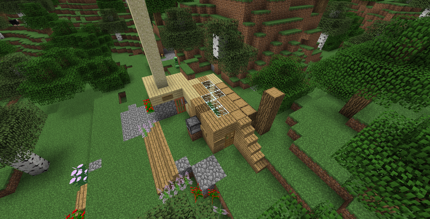 An aerial view of the shelter they built.